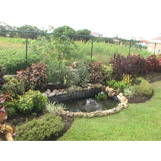Lawns & Landscapes photo 2