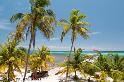 Portofino Beach Resort & Restaurant photo 1