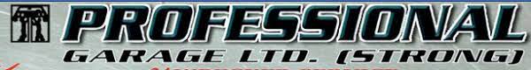 Professional Garage Ltd (Strong) logo