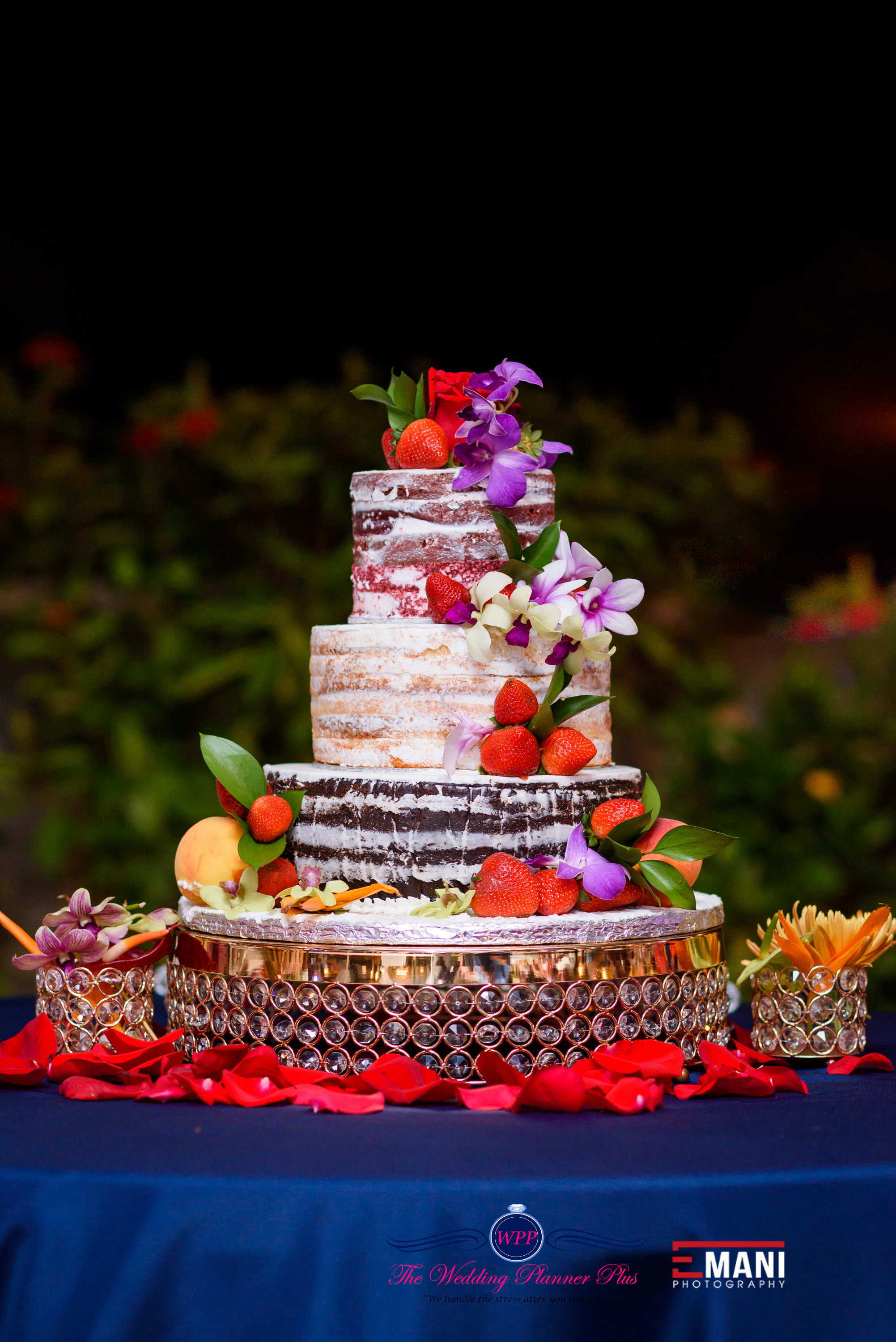 Wedding Planner Plus Ltd The photo 2