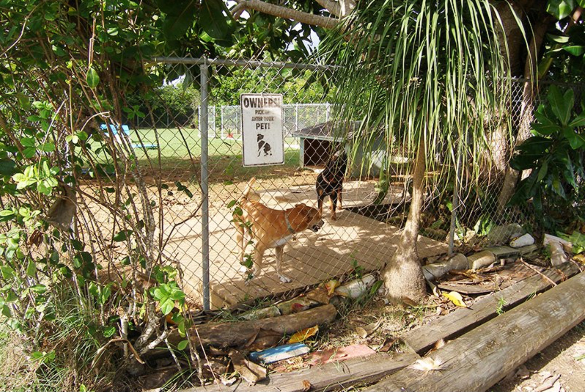 Cayman Pet Paradise Ltd-Cheval Ranch photo 5