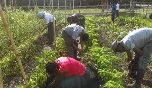 Ladyville Technical College photo 7