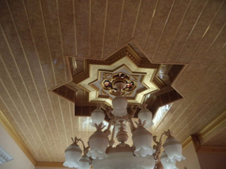 PVC Professional Ceilings photo 3