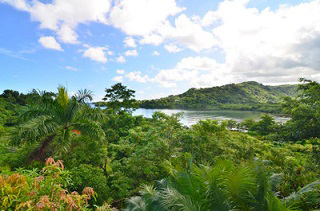 Bay View Eco Resort & Spa photo 3
