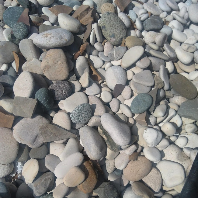 Fort George Botanicals Ltd photo 7