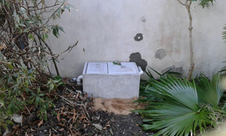 Septic Solutions photo 6