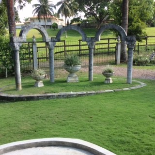 St Thomas Plants Nursery photo 7