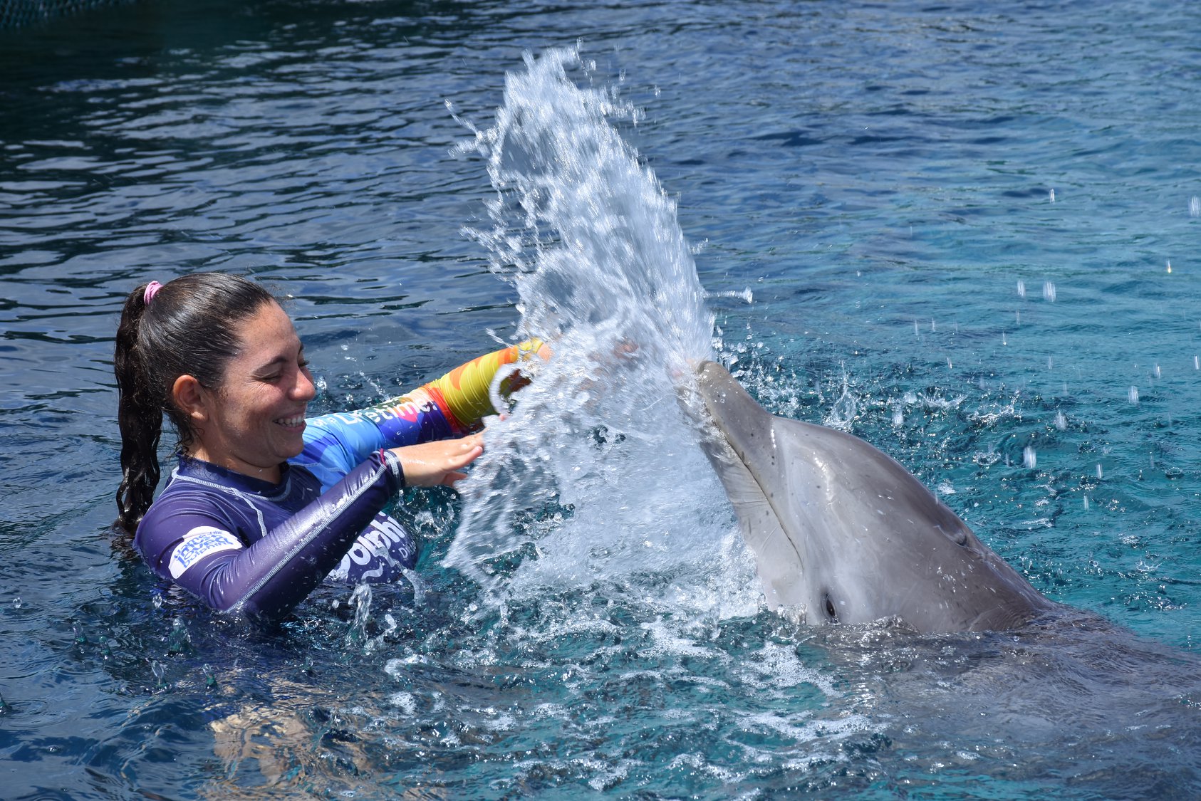 Dolphin Discovery St. Kitts photo 5