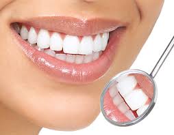 Pinnacle Dental Care Inc photo 2