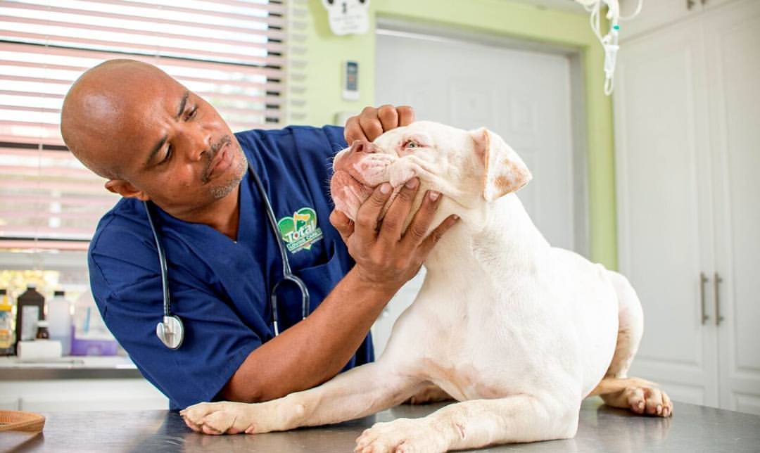 Total Loving Care Veterinary Services photo 3