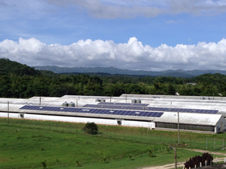 ECHOS Consulting Ltd photo 3
