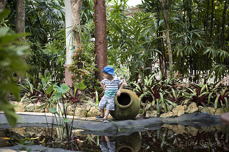 Queen Elizabeth II Botanic Park photo 8