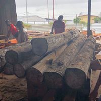 Saran Sampath Ltd photo 4