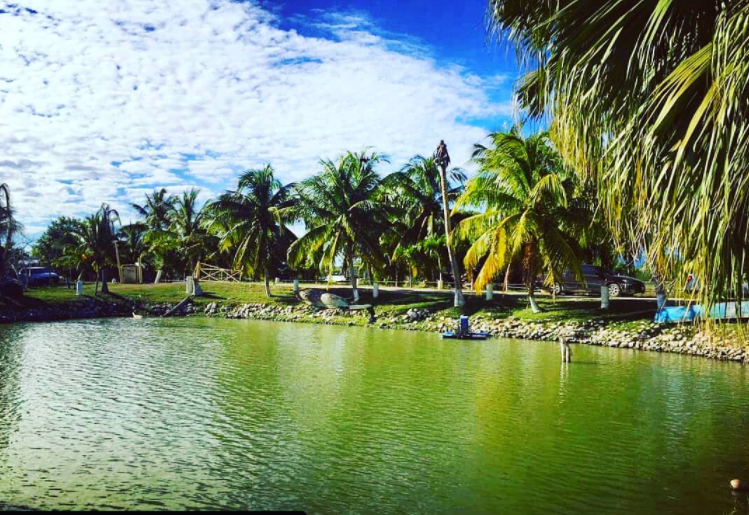 Little Hobby Hut Safari & Fish Farm photo 4