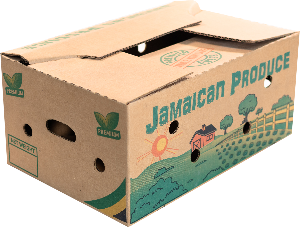 Sterling Packaging photo 8