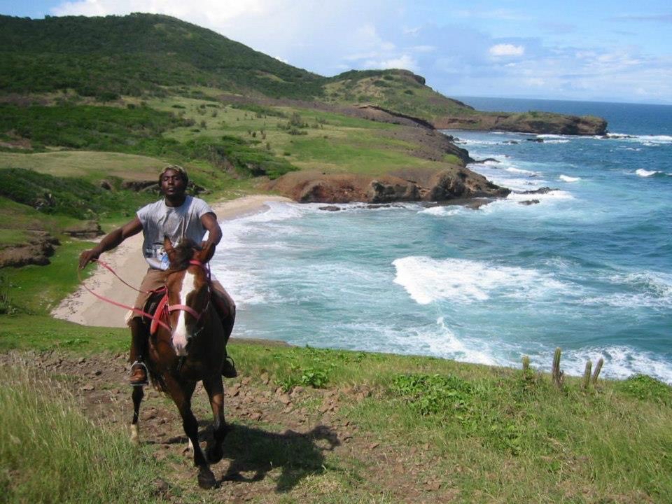 International Pony Club photo 1