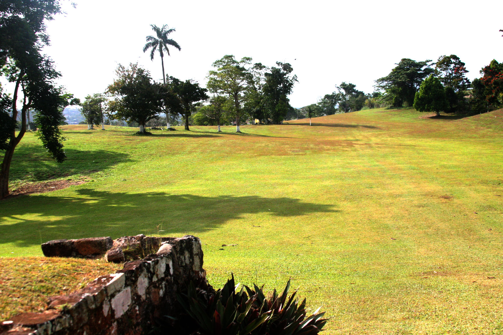 Golf View Hotel photo 6