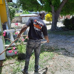 A F Results Pest Control photo 6
