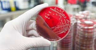 Path Care Medical Laboratory Ltd photo 7