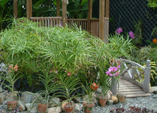 Home & Garden Care Ltd photo 3