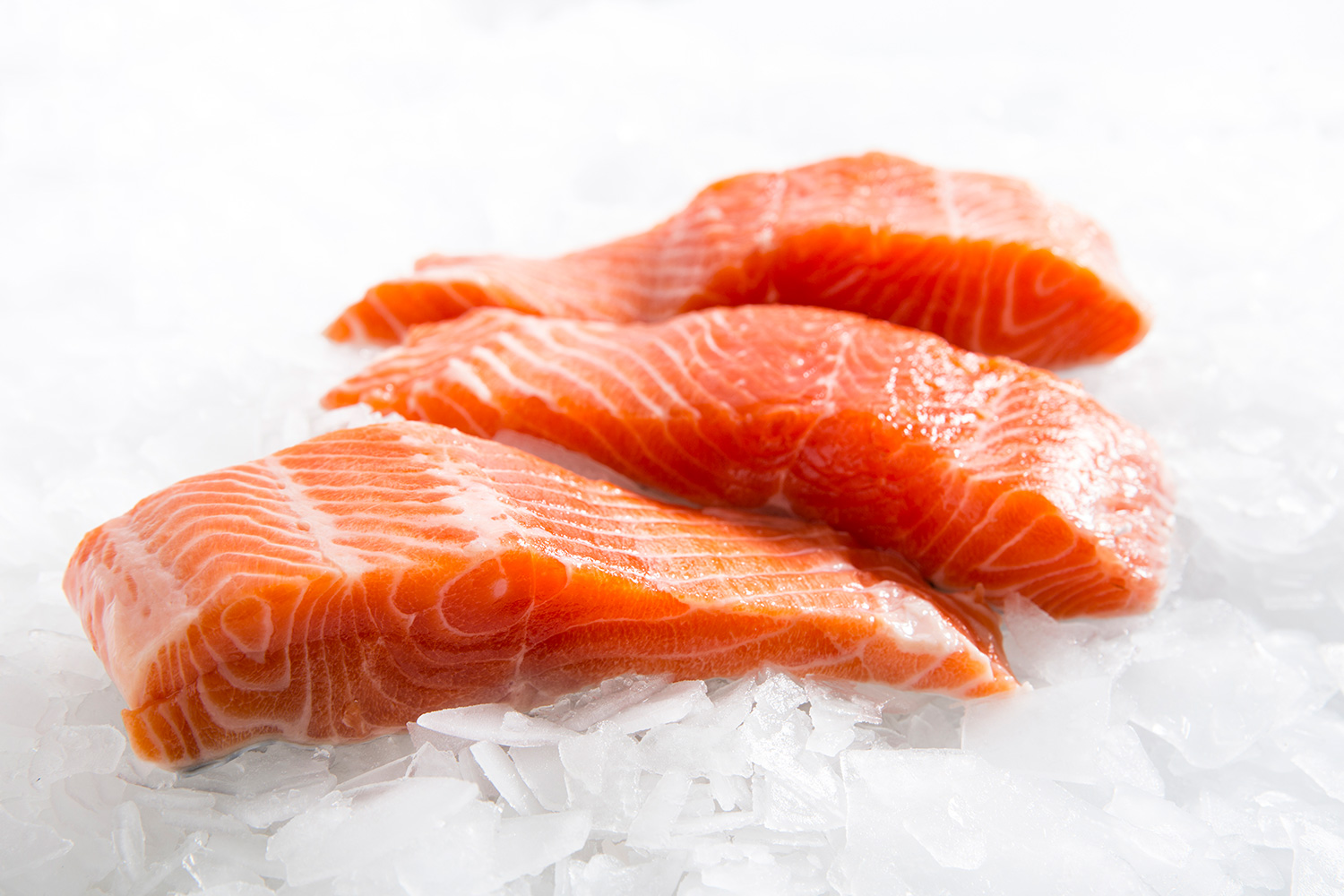 Sea Foods Enterprises Ltd photo 3