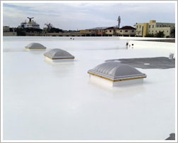 Seal Sprayed Solutions Ltd photo 4