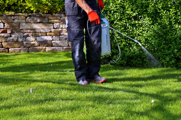 Tobago Pest Specialist photo 1
