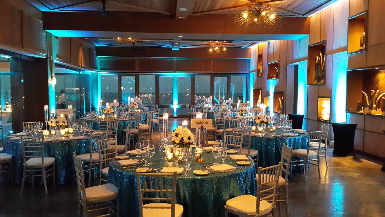 Titanium Audio Visual-AV Rentals, Wedding Lighting photo 8