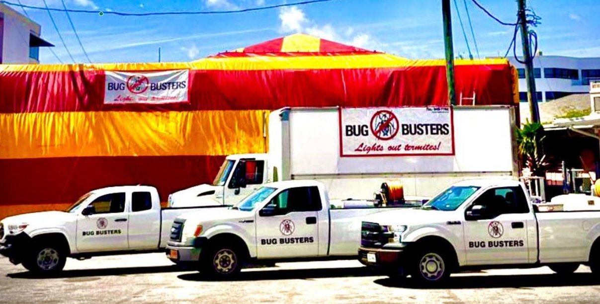 Bug Busters Ltd photo 3