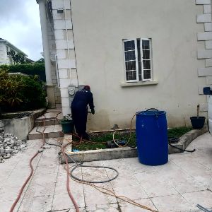A F Results Pest Control photo 8