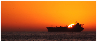 Alpha Transport Ltd photo 3