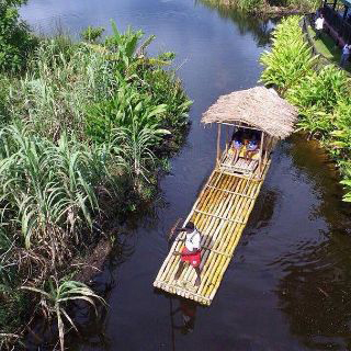Kool Runnings Adventure Park photo 2