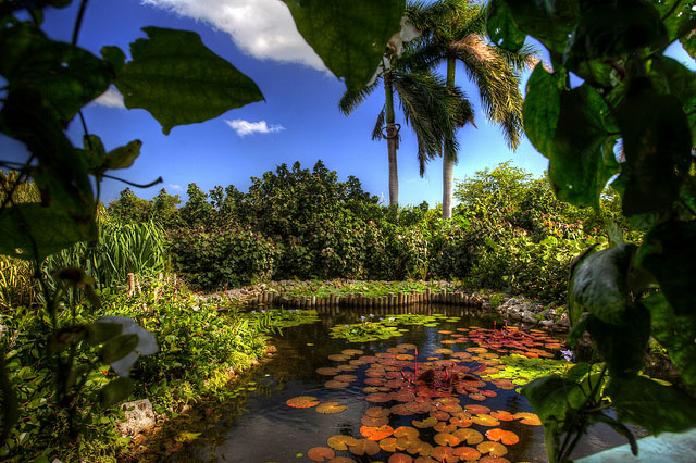 Queen Elizabeth II Botanic Park photo 10