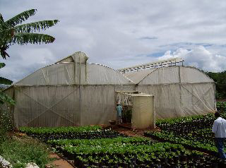 Jamaica Social Investment Fund photo 8