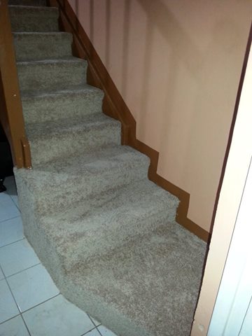 Eltech Carpet Services photo 2