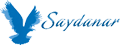 Thwin Aye H Dr logo