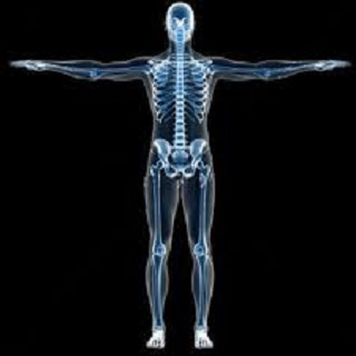 Island Radiology Ltd photo 4