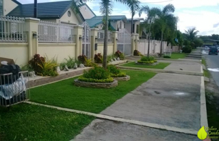 Wallace Landscaping Services photo 4