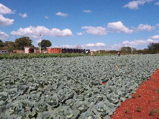 Jamaica Social Investment Fund photo 10