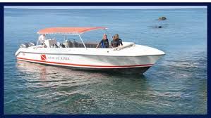 Dive St Kitts photo 2