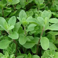 Agro Products Ltd photo 12