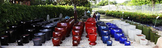 Vigoro Nursery & Landscaping photo 3