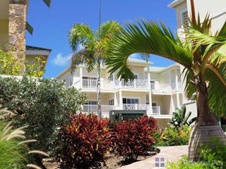 Silver Reef St Kitts / Indigo Properties Plus photo 4