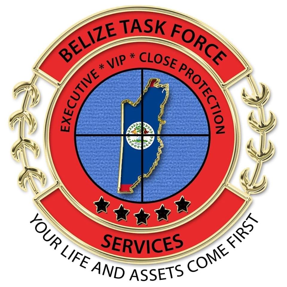 Belize Task Force Services logo