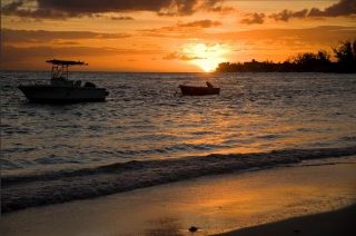 Coral Sands Beach Resort photo 1