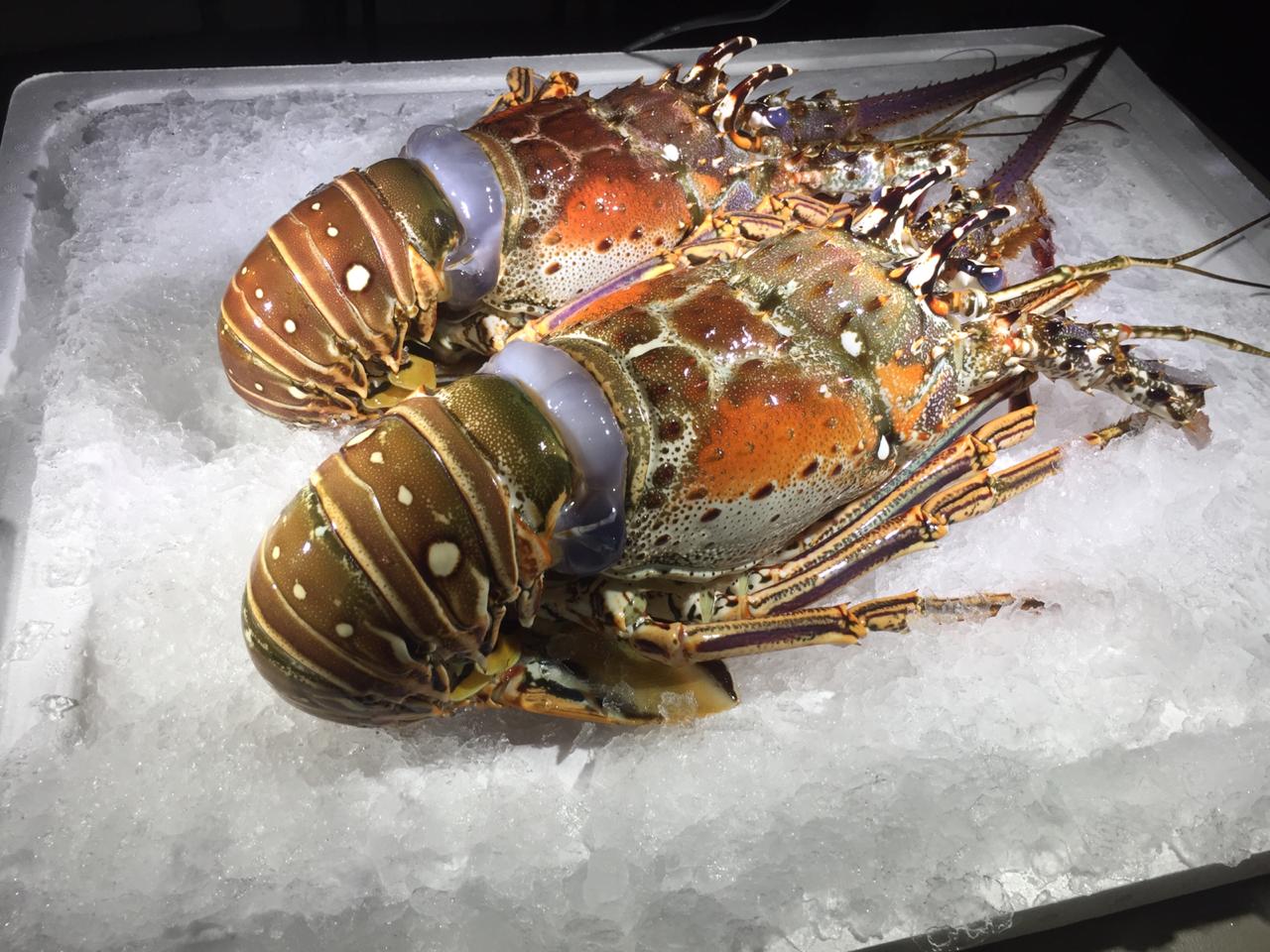 Sea Foods Enterprises Ltd photo 13