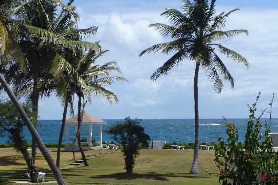 Island Paradise photo 2