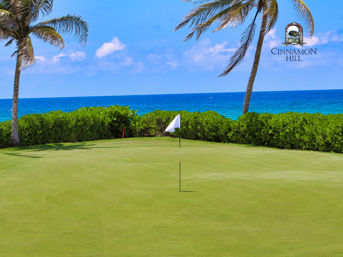 Rose Hall Golf photo 7