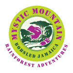 Mystic Mountain logo