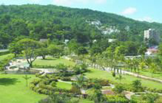 Dunn's River Falls & Park photo 3